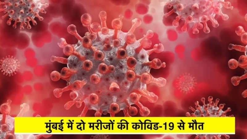 भारत में नया कोरोना JN.1 वैरिएंट: लक्षण, सावधानियां और हालात 2025 1 भारत में नया कोरोना JN.1 वैरिएंट: लक्षण, सावधानियां और हालात 2025